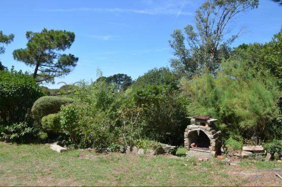 A l'extrmit d'un village cette petite maison bnficie d'un beau terrain arbor.