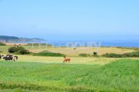 La campagne à la mer : un somptueux paysage typique de Belle Ile ...