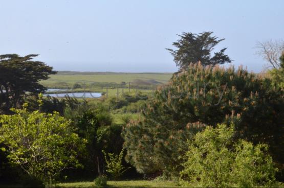 Au centre d'un beau jardin, � l�abri des regards, pratiquement sans vis-�-vis, cette maison b�n�ficie aussi d'une situation de choix. 