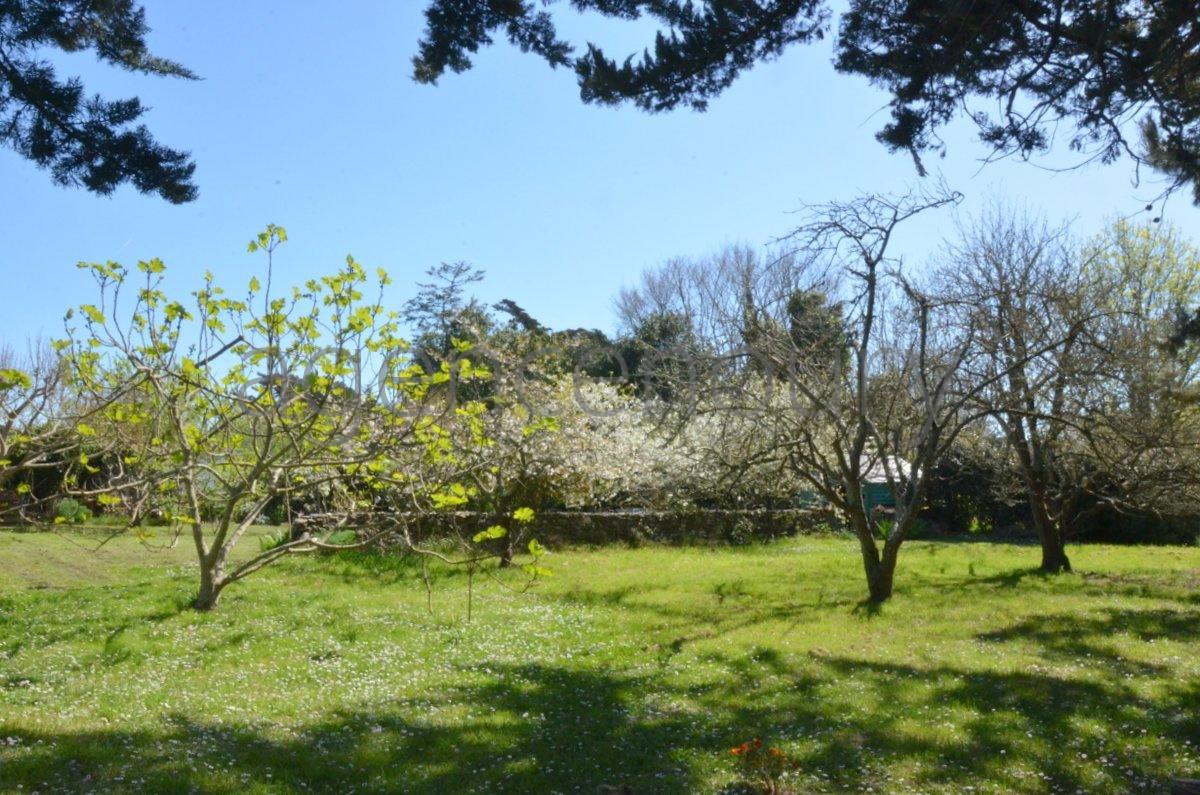 Au centre d'un beau jardin, � l�abri des regards, pratiquement sans vis-�-vis, cette maison b�n�ficie aussi d'une situation de choix. 