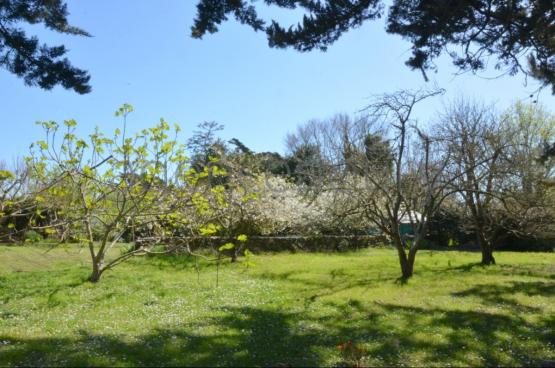 Au centre d'un beau jardin, � l�abri des regards, pratiquement sans vis-�-vis, cette maison b�n�ficie aussi d'une situation de choix. 