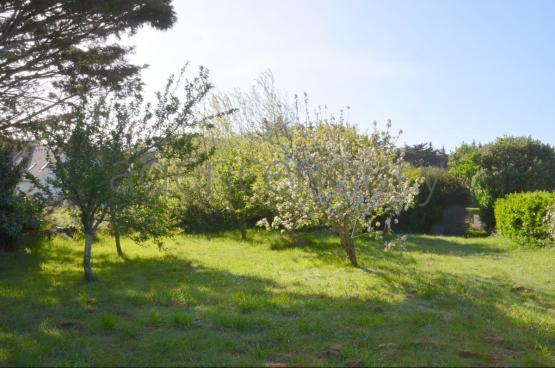 Au centre d'un beau jardin, � l�abri des regards, pratiquement sans vis-�-vis, cette maison b�n�ficie aussi d'une situation de choix. 