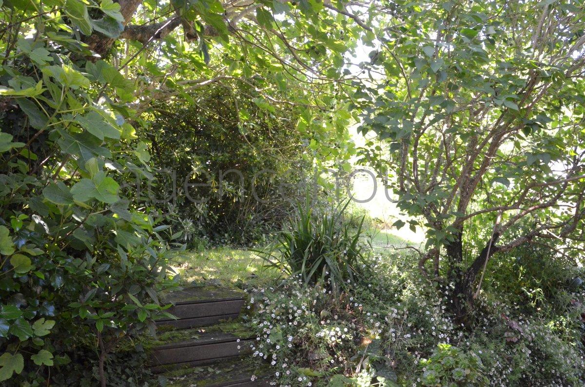 A cinq minutes � pied d'une petite plage intimiste, cette petite maison ancienne, simple, chaleureuse nous a imm�diatement s�duits.