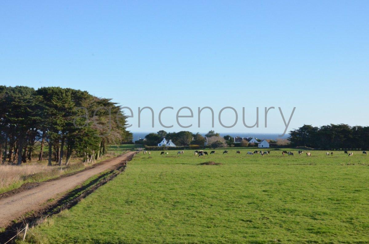 La campagne � la mer : des paysages typiques de Belle-Ile.