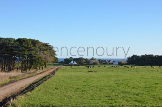 La campagne  la mer.