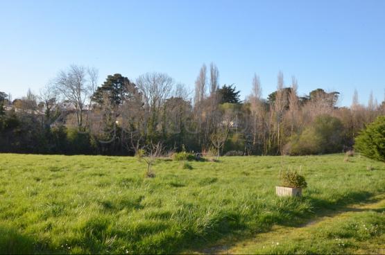 A l'extr�mit� d'un hameau, � un quart d'heure � pied du centre de Palais, cette grande maison familiale marie ambiance chaleureuse et fonctionnalit�. D'une