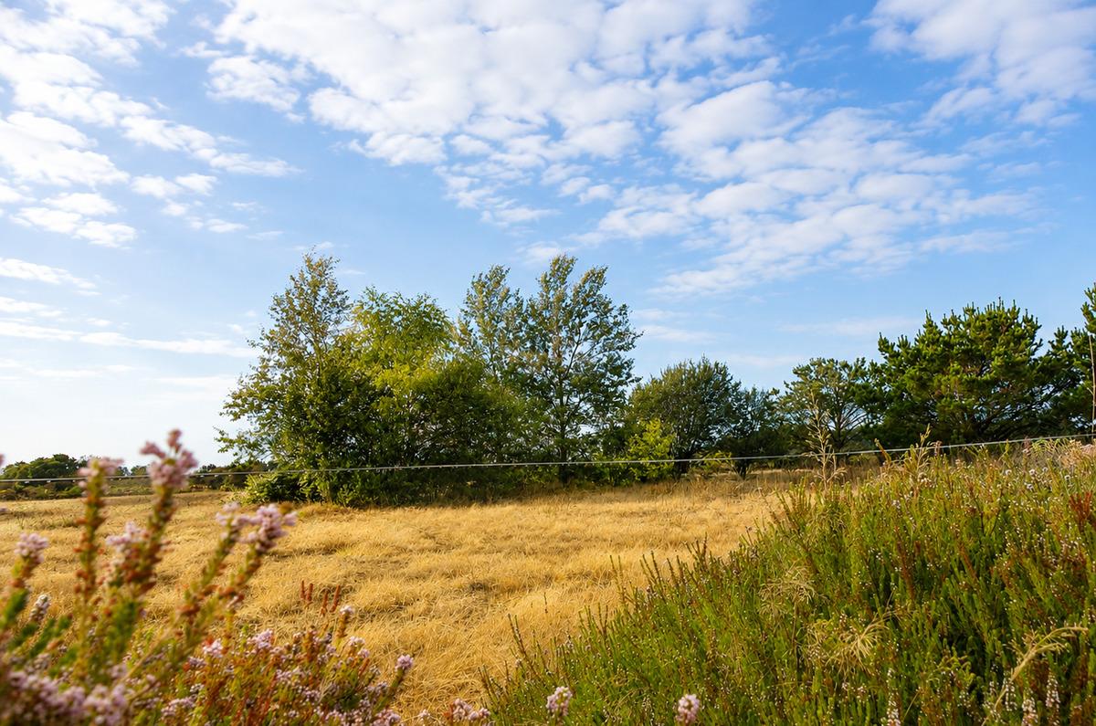 A quelques pas de Bangor, cette maison est une parenth�se au c�ur des champs