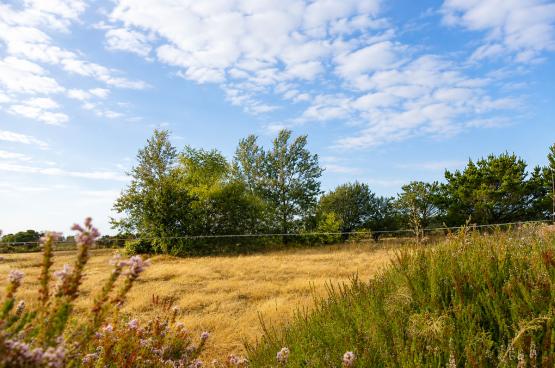 A quelques pas de Bangor, cette maison est une parenth�se au c�ur des champs