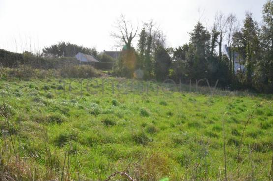 Il est possible de b�tir deux maisons sur ce beau terrain.