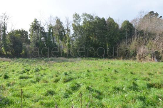 Il est possible de b�tir deux maisons sur ce beau terrain.